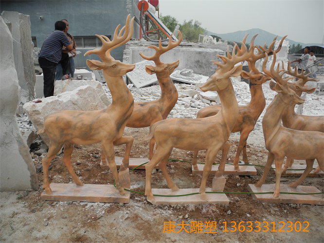 DSCN1034.jpg