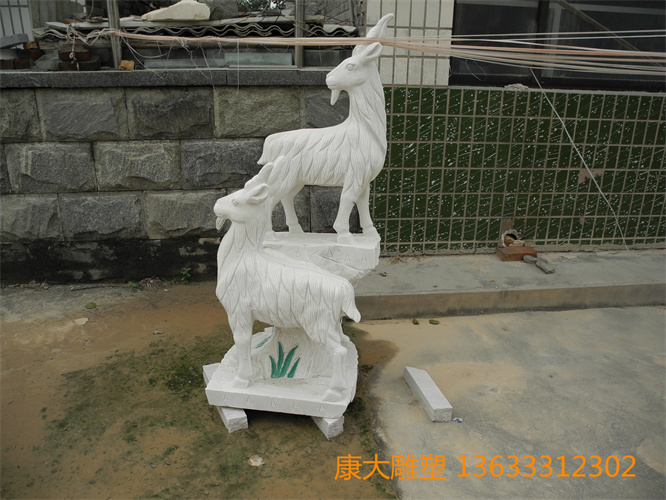 DSCN1191.jpg