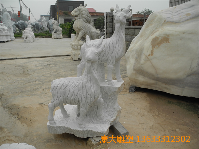 DSCN1192.jpg