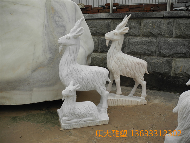 DSCN1194.jpg