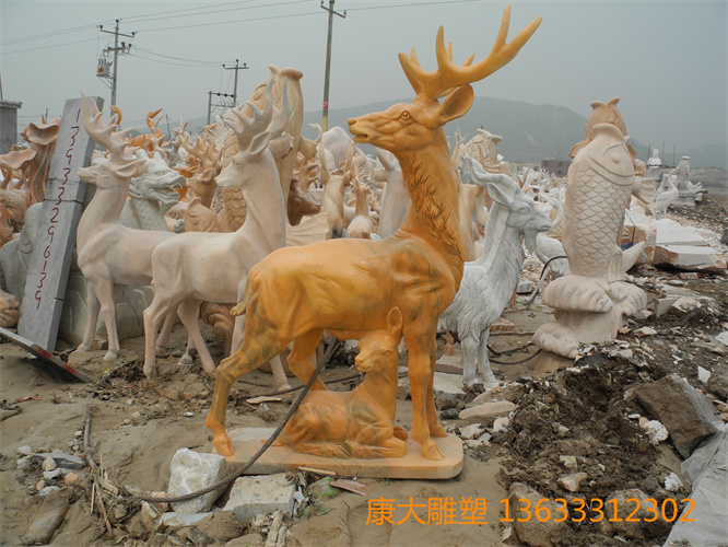 DSCN1229.jpg