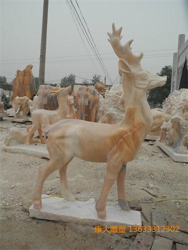 DSCN1321.jpg