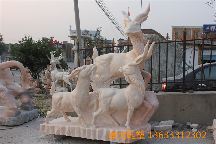 IMG_5400.JPG