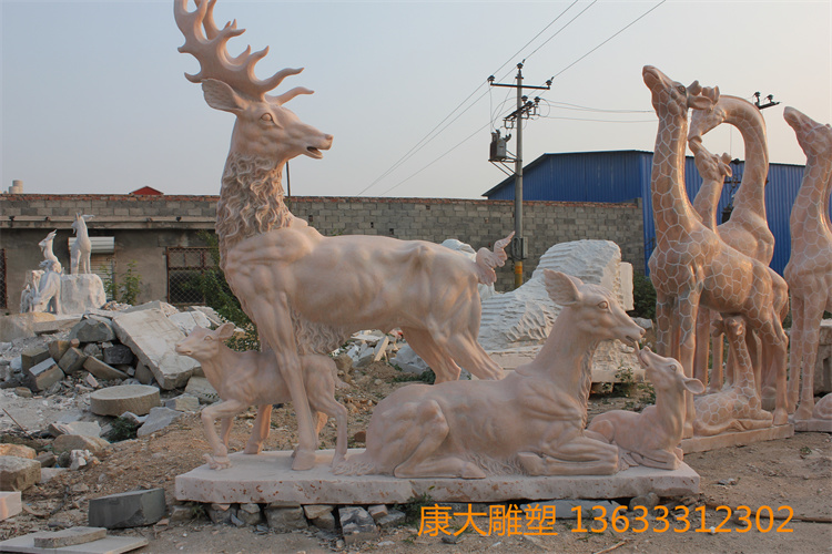 IMG_5406.JPG