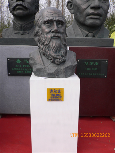 D(zhun) P1020851.JPG