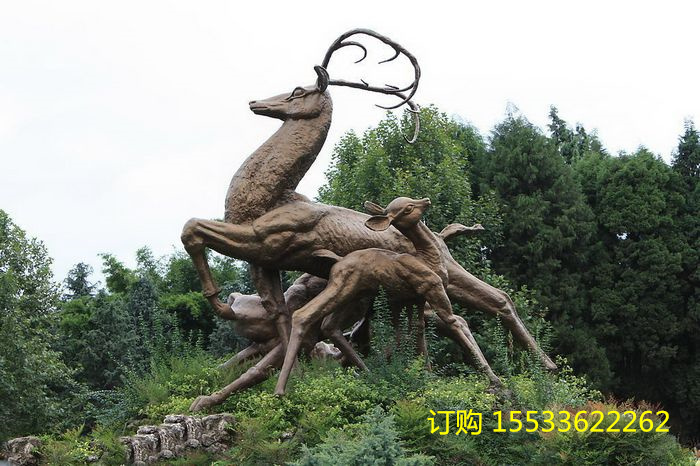 2012120117151209.jpg