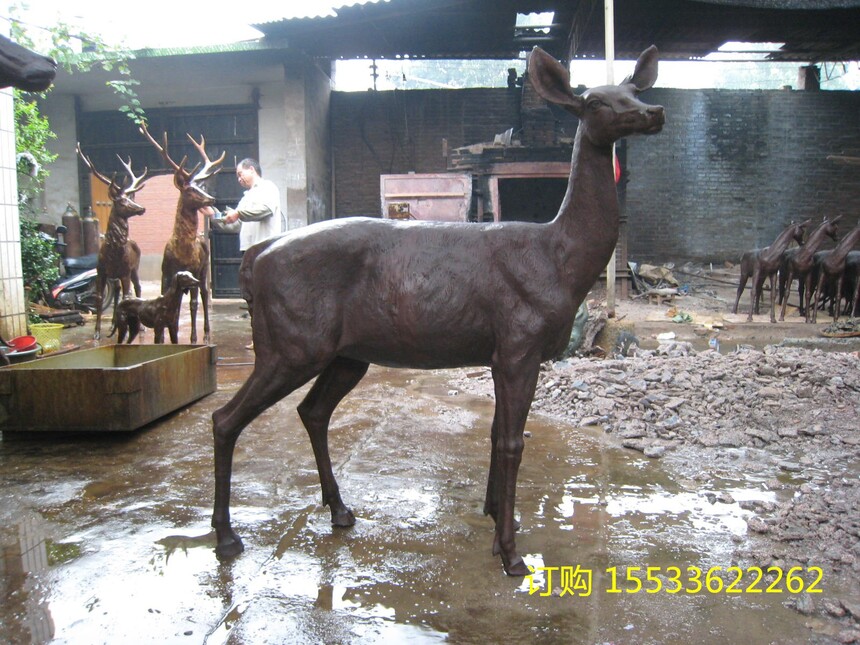 BR137AP160X174X54.jpg