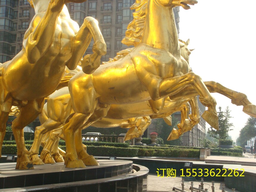 DSC02614.jpg