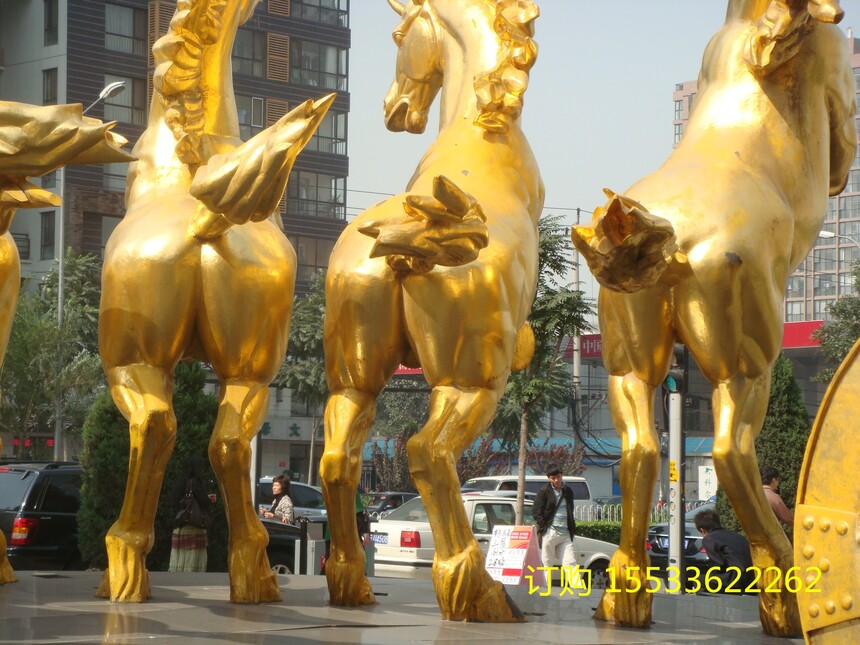 DSC02620.jpg