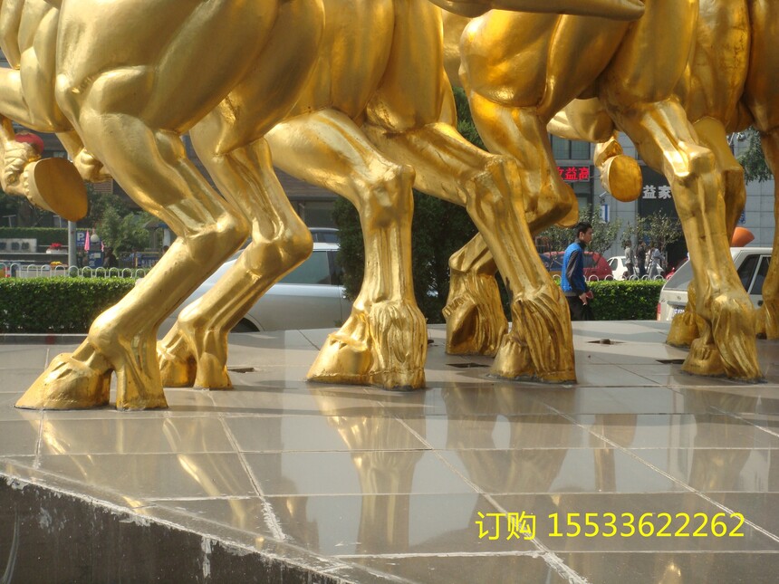DSC02622.jpg