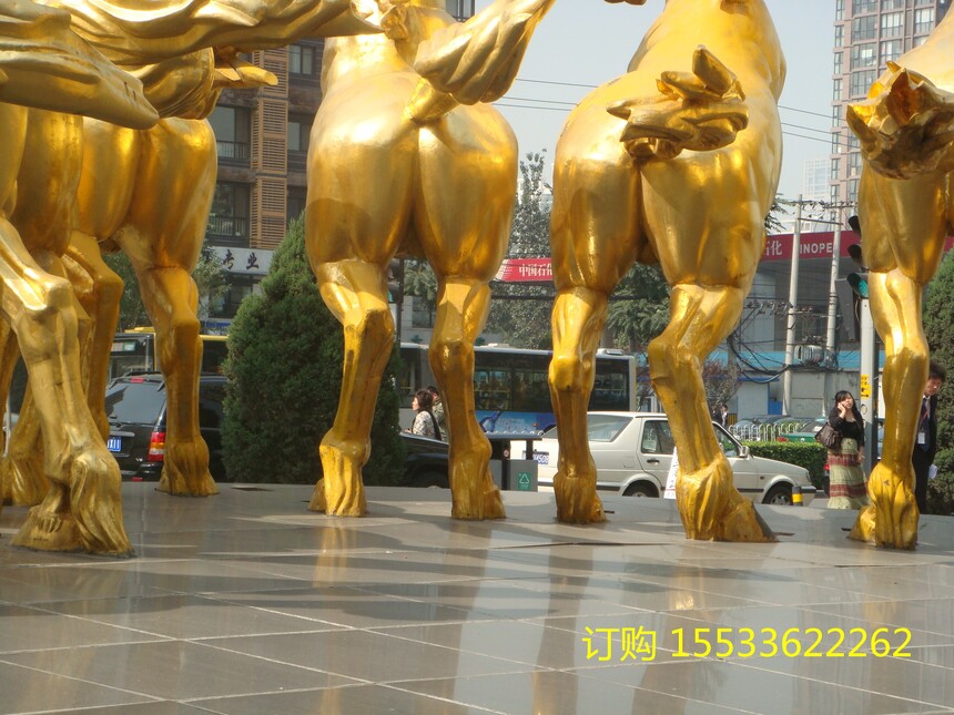 DSC02623.jpg