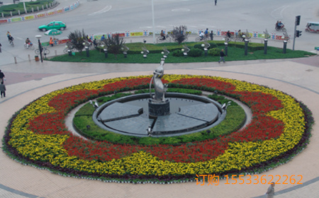 20062151244063711.jpg