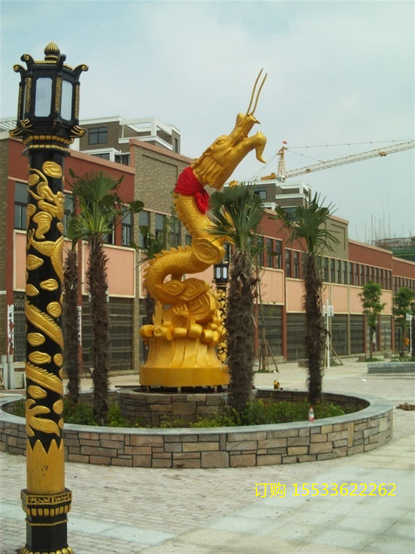 IMG_6477.jpg