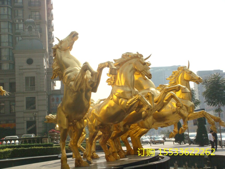 DSC02660.jpg