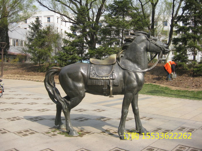 mmexport1500710956483.jpg