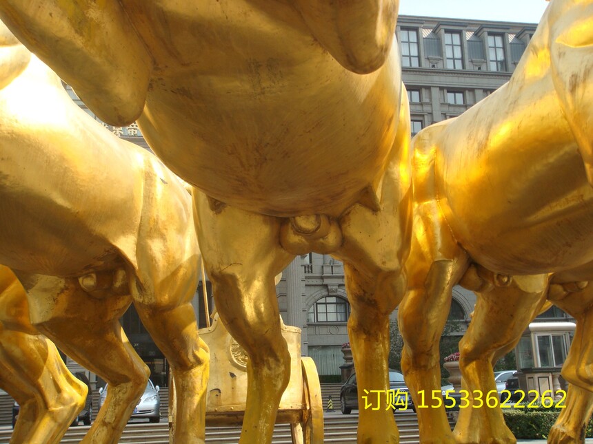 DSC02615.jpg