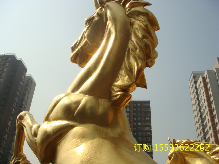 DSC02632.jpg