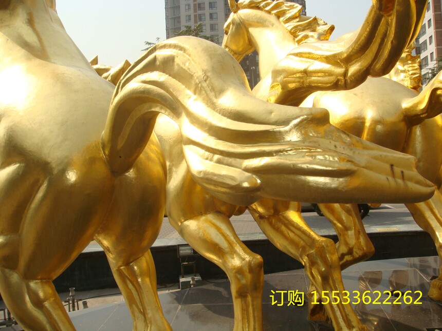 DSC02649.jpg