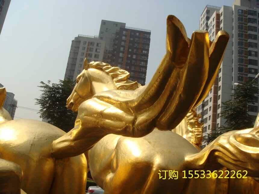 DSC02650.jpg