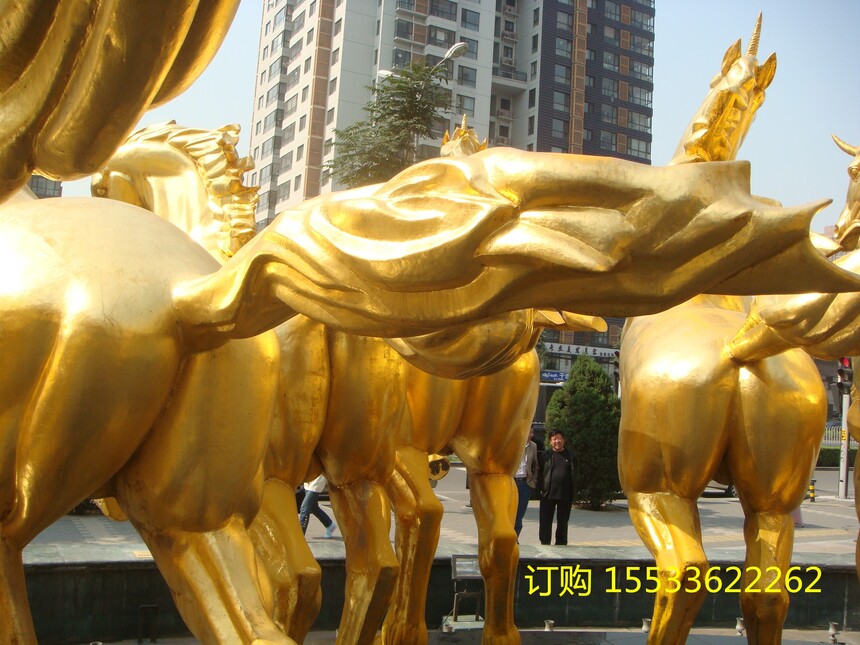 DSC02651.jpg