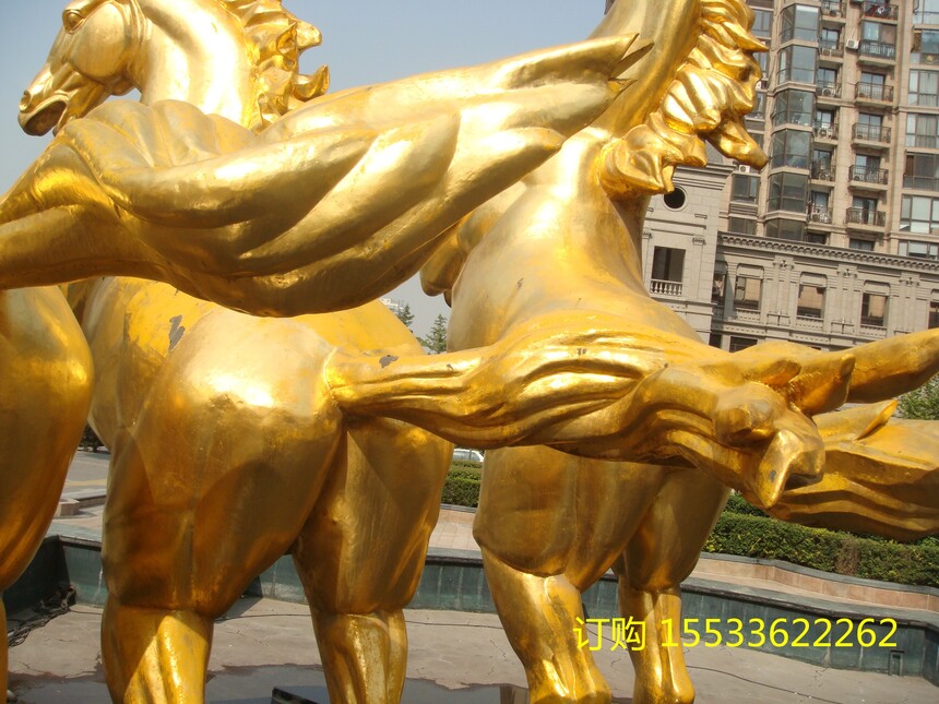 DSC02654.jpg