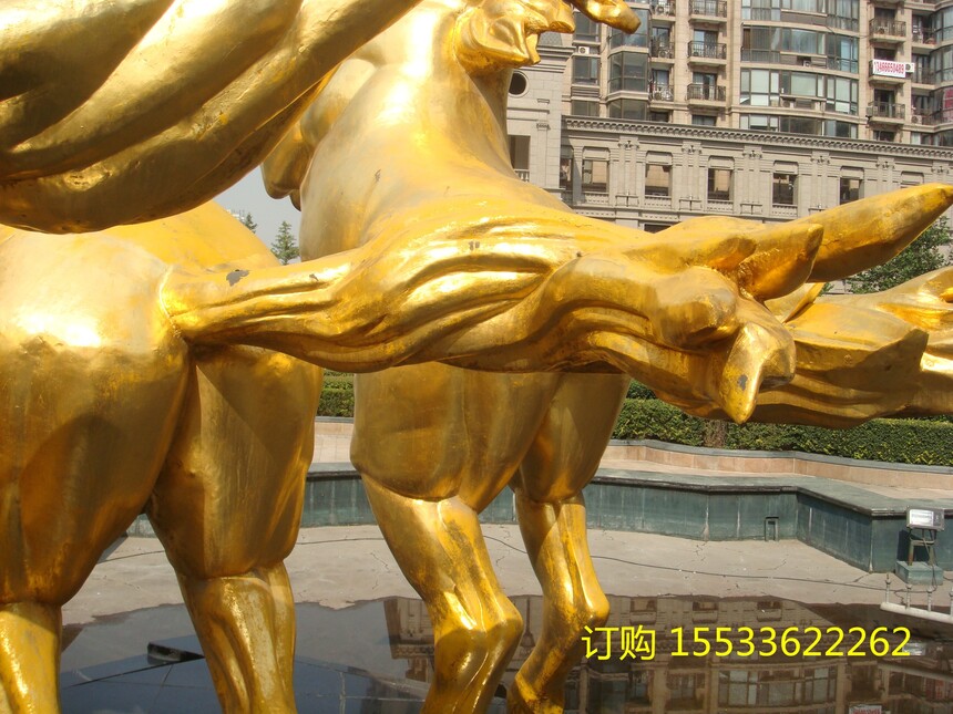 DSC02655.jpg