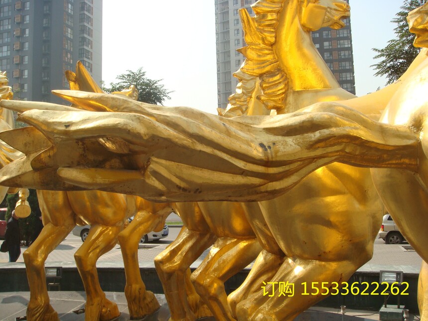 DSC02656.jpg