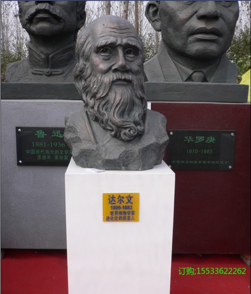 IMG_5364.PNG.jpg