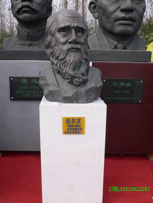 ת P1020851.JPG