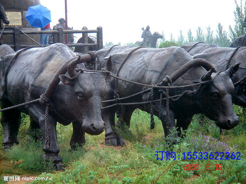 200923211322291_2.jpg