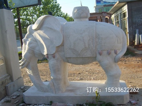 123)S8300262.jpg
