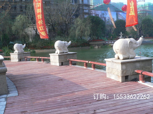16018.jpg