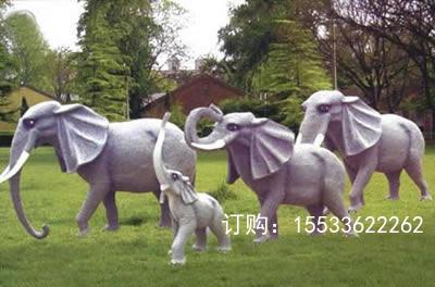 7968165.jpg