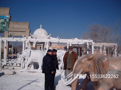 ALIM0741.JPG