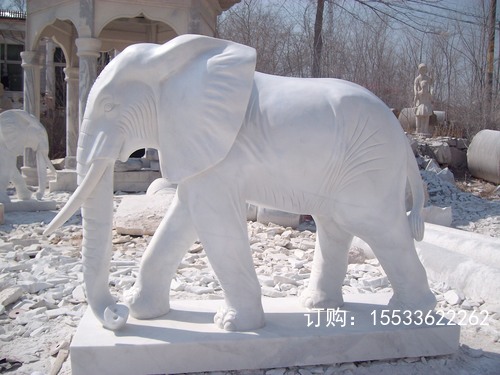 ALIM2604.JPG