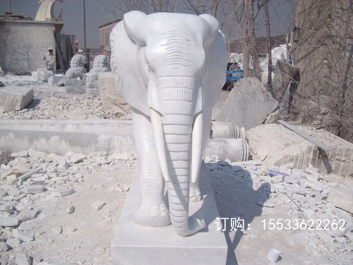 ALIM2605.JPG