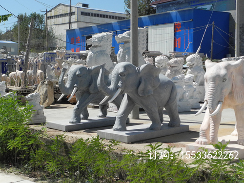 DSCN9601.JPG