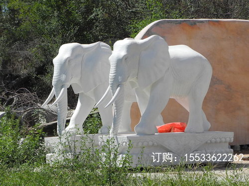 DSCN9695.JPG
