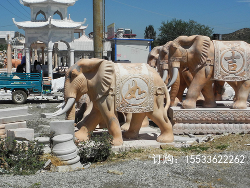 DSCN9717.JPG