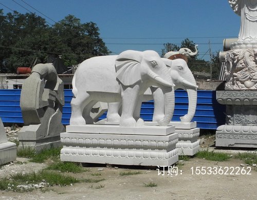 DSCN9759.JPG
