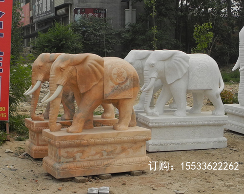 DSCN9785 .jpg