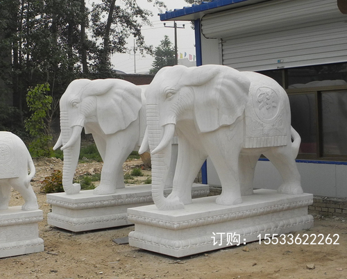 DSCN9786 .jpg