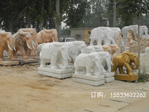 DSCN9795 .jpg
