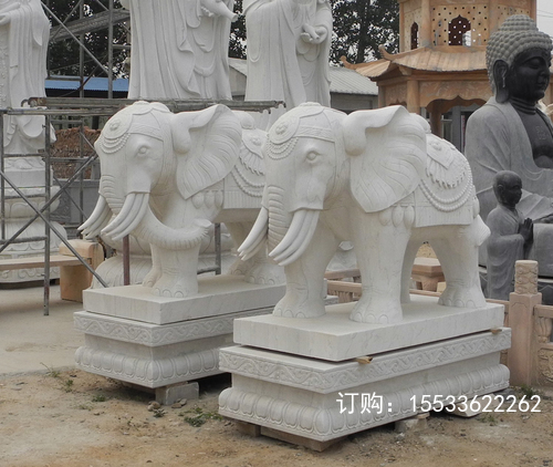 DSCN9810 .jpg
