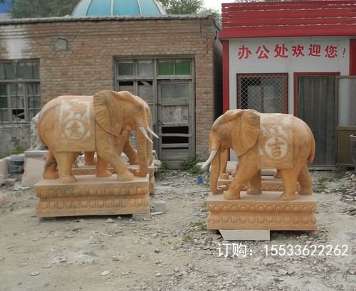 DSCN9834 .jpg