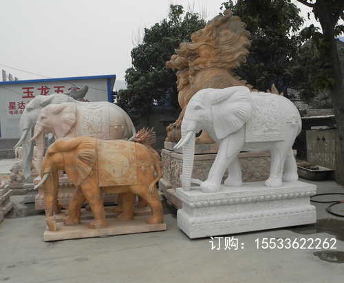 DSCN9868 .jpg