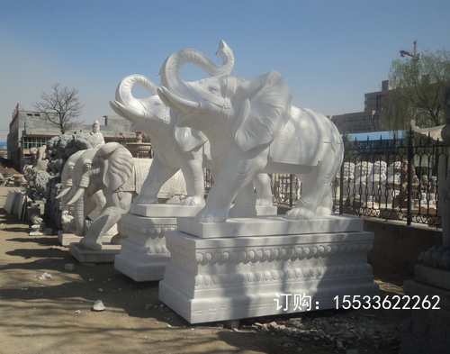 DSC00953.JPG