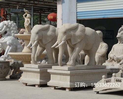 DSC02390.JPG