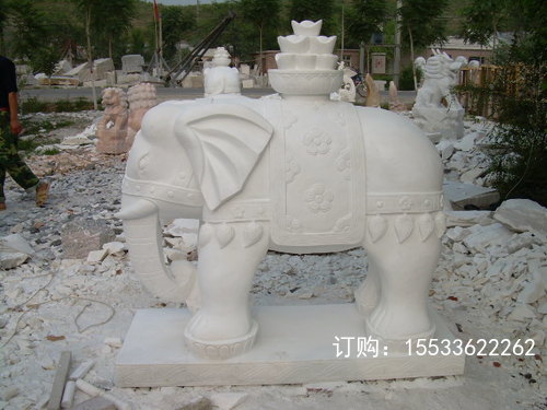 DSCN0133.JPG
