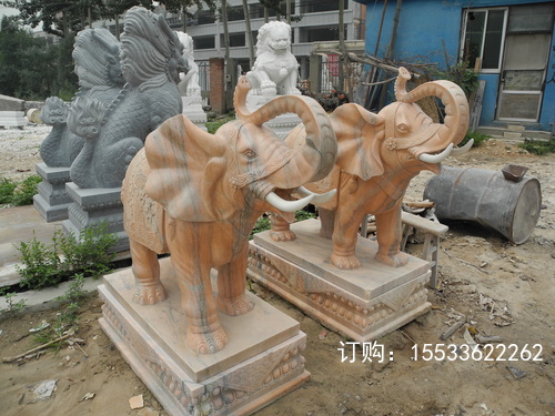 DSCN1238.jpg